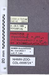 Etiketten zu Neodima sichuanensis (NHMW-ZOO-COL-0008724)